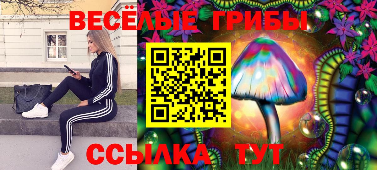Балашиха  Галлюциногенные грибы мухоморы  купить наркоту  Вход с VPN 